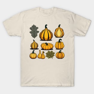 Pumpkin gourd collection fall vibes thanksgiving body positive T-Shirt